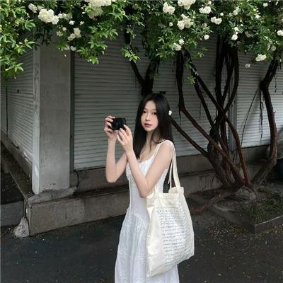 多情猫